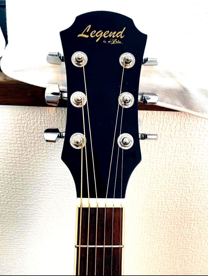 Aria Legend アコースティックギター サイドサウンドホール別注品♪♪