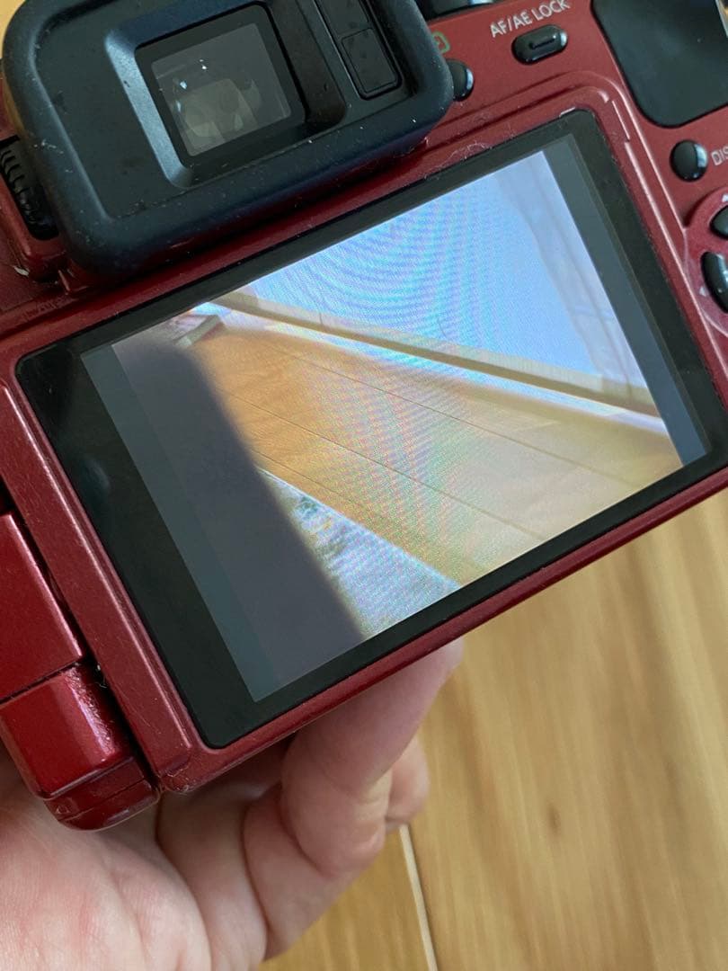 パナソニック　Lumix G 1赤+ ミノルタ　50㍉　70-210㍉　動作品