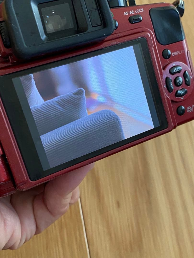 パナソニック　Lumix G 1赤+ ミノルタ　50㍉　70-210㍉　動作品