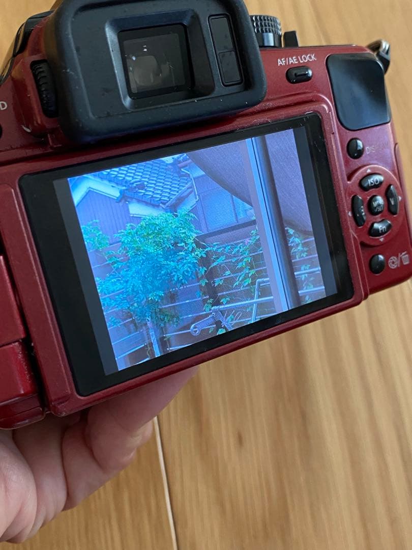 パナソニック　Lumix G 1赤+ ミノルタ　50㍉　70-210㍉　動作品