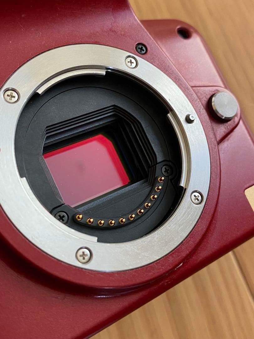 パナソニック　Lumix G 1赤+ ミノルタ　50㍉　70-210㍉　動作品