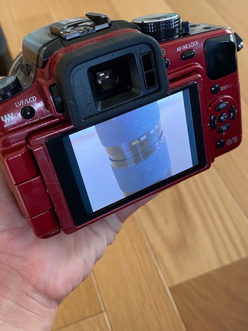 パナソニック　Lumix G 1赤+ ミノルタ　50㍉　70-210㍉　動作品