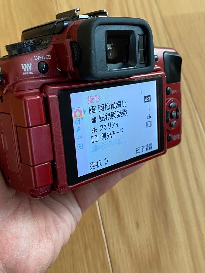 パナソニック　Lumix G 1赤+ ミノルタ　50㍉　70-210㍉　動作品