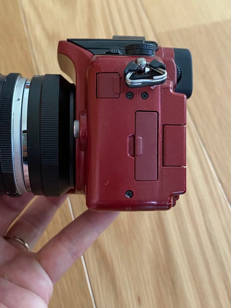 パナソニック　Lumix G 1赤+ ミノルタ　50㍉　70-210㍉　動作品
