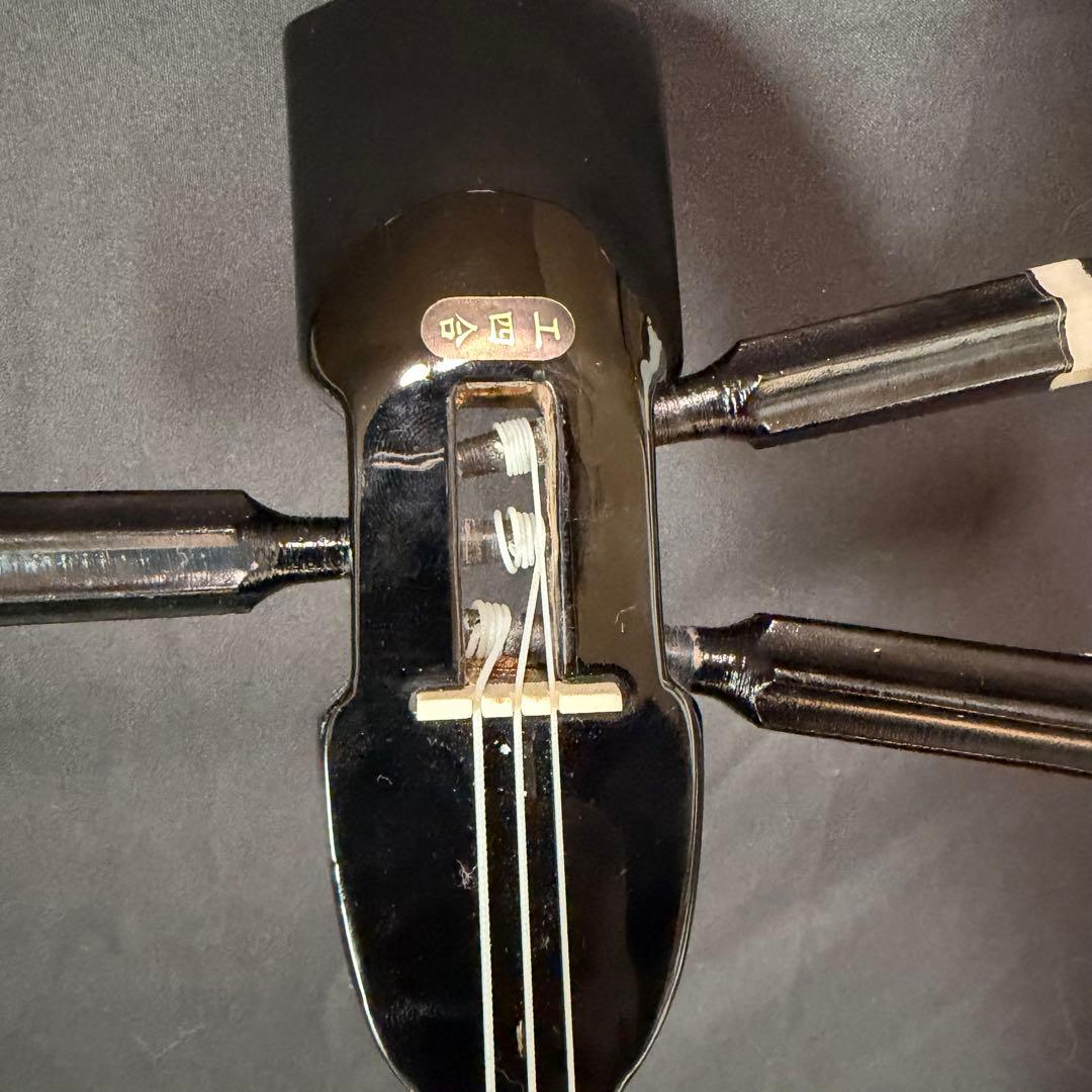 沖縄三線 本蛇皮風 セット ケース付き 初心者OK 教本付き