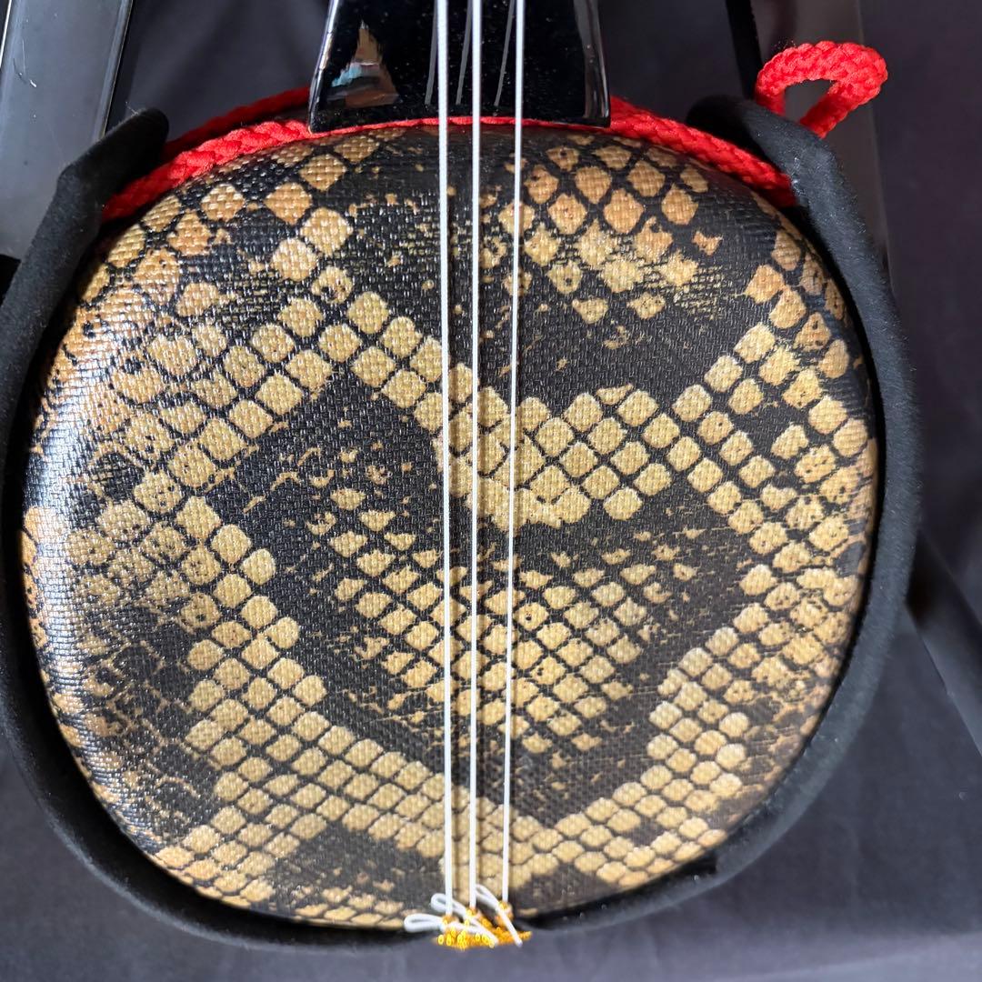 沖縄三線 本蛇皮風 セット ケース付き 初心者OK 教本付き