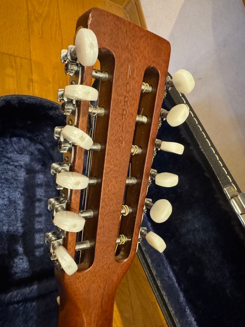 激レア Morris special スロテッドヘッド 12弦