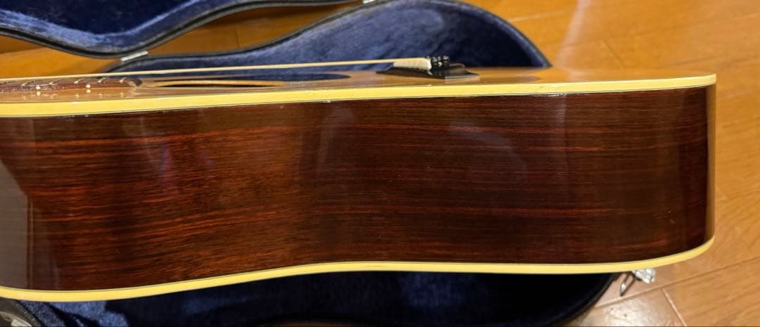 激レア Morris special スロテッドヘッド 12弦