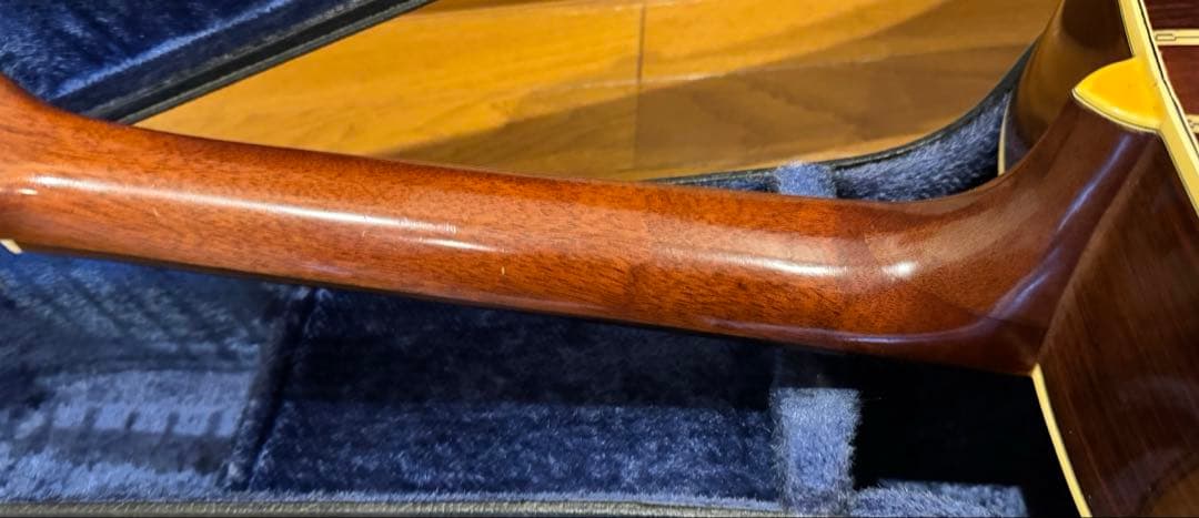 激レア Morris special スロテッドヘッド 12弦