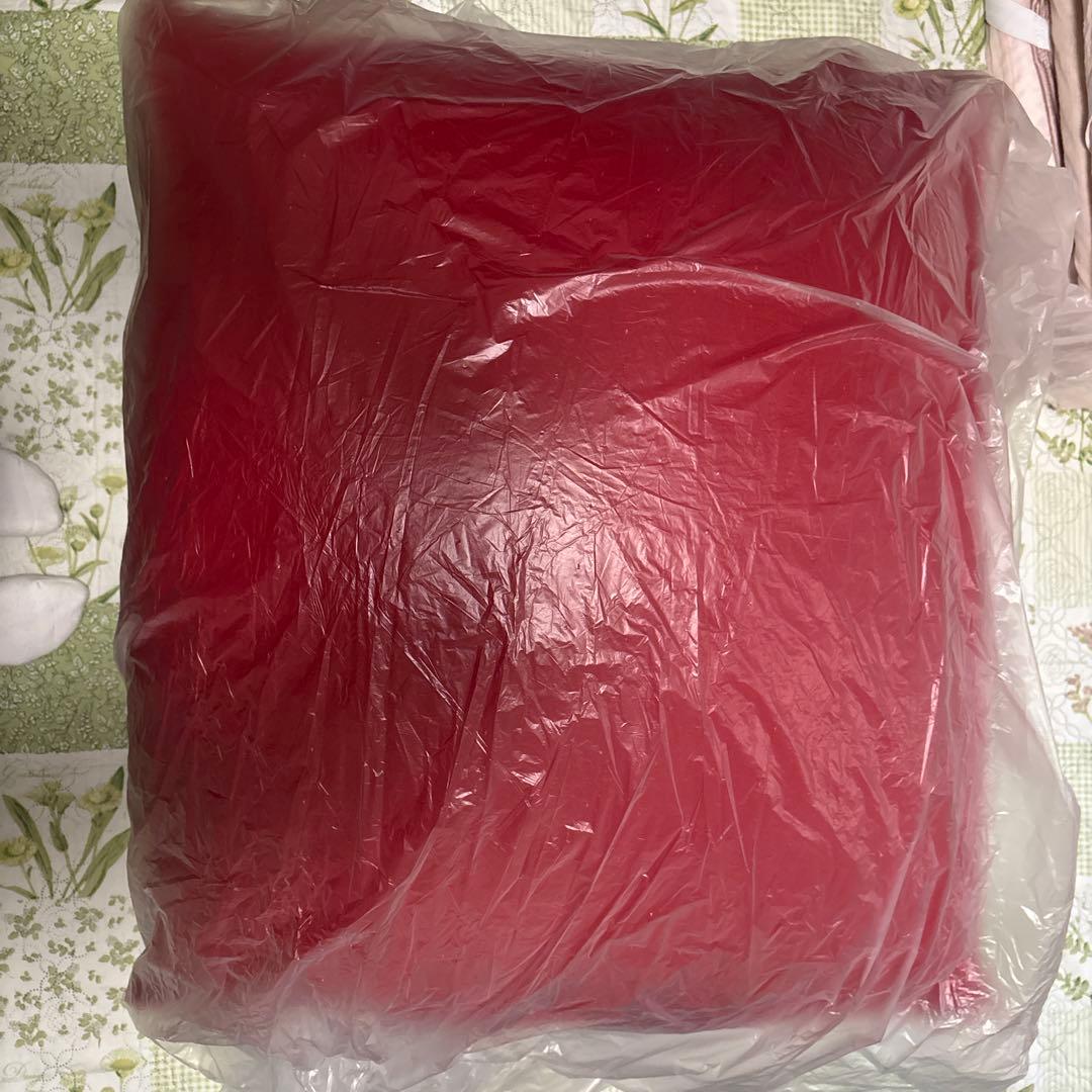 【美品】Yogibo Mini ヨギボー　ミニレッド　赤　カバー付き