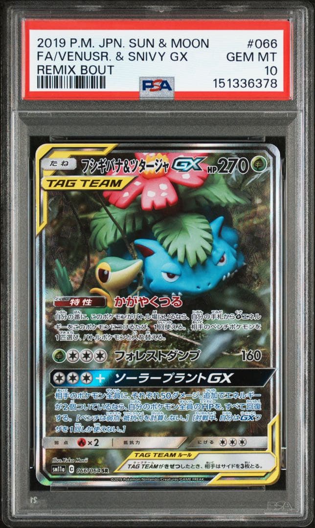 【PSA10】フシギバナ&ツタージャGX SR: SA 066/064
