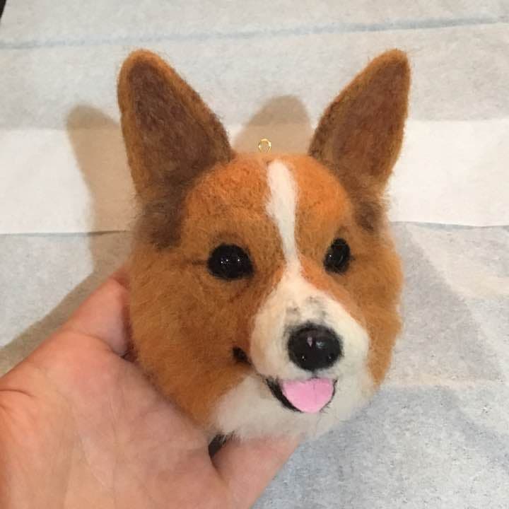 コーギーさん✿参考画像✿羊毛フェルト