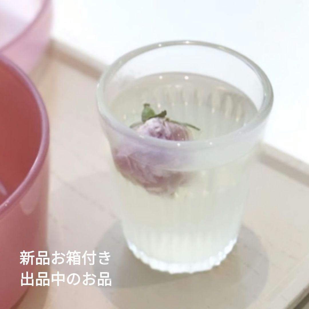 希少 山本亮平 皿1枚 伊藤聡信剛俊河合竜彦辻和美中村友美岡さつき内田京子鋼一