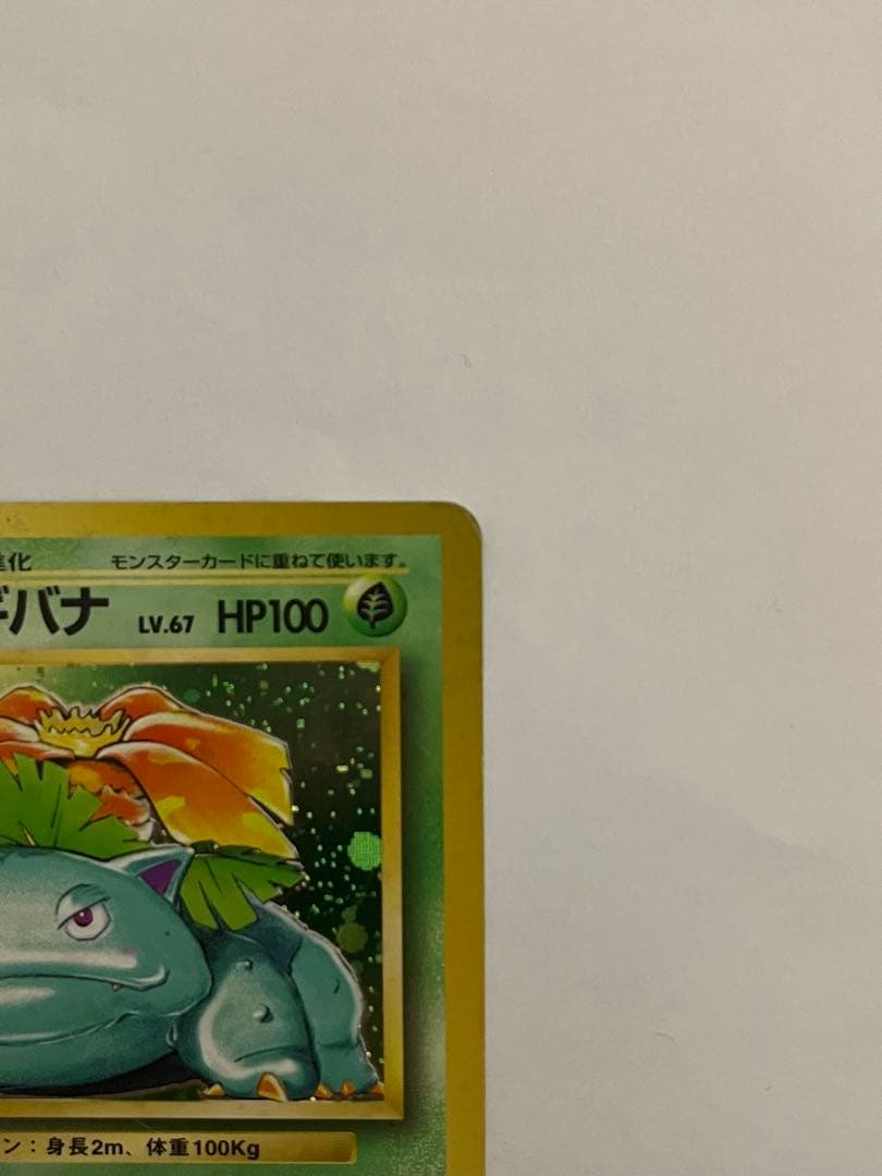 フシギバナ　ポケモンカード　旧裏