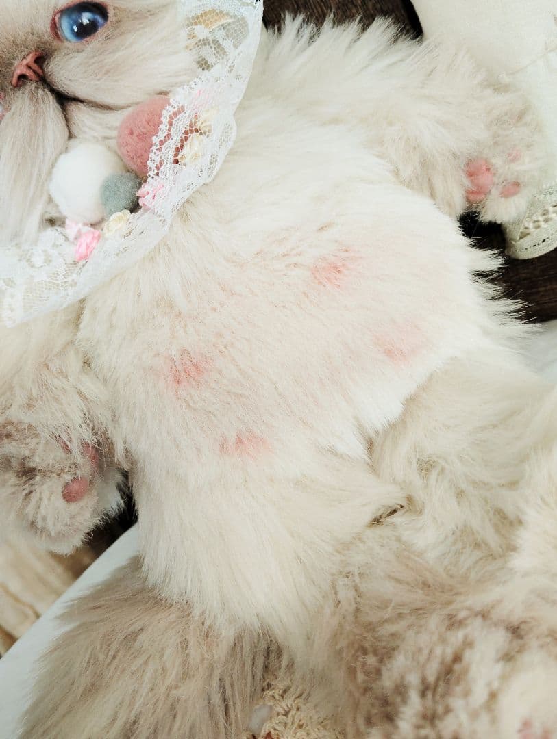 おふぅちゃんオーダー❤ライラックポイント♡子猫ちゃん♡アートドール♡ぬいぐるみ♡