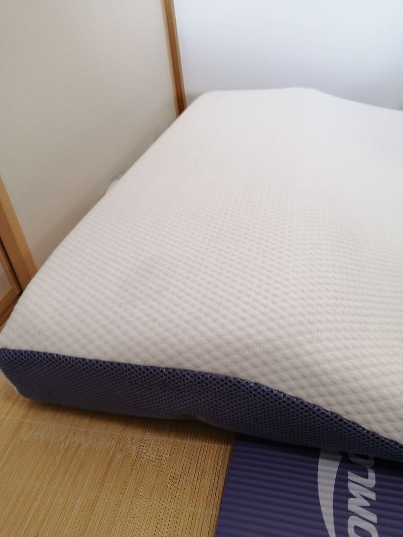 け*ん様 トゥールスリーパーセブンスピローシングルサイズ　カバー、調節マット大２