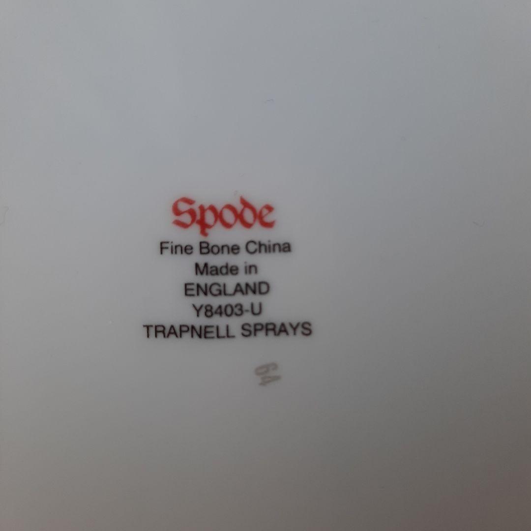 スポードSpode トラップネルスプレイズ ケーキ皿 20.5cm 2枚セット