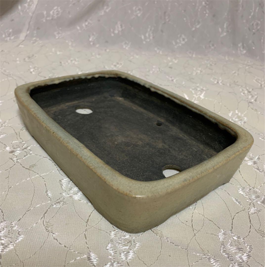 鴻陽　やや大きめ　盆栽鉢