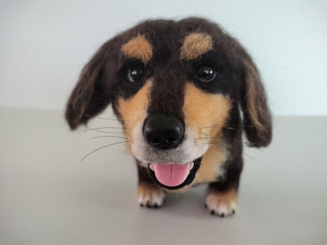 ミニチュアダックス◆羊毛フェルト犬 ハンドメイド　舌出し　37cm