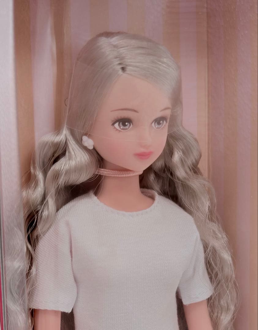 【新品未開封】2023年神戸三宮BASICモデル　シオン　※発送の際は箱なし