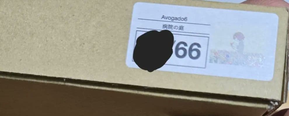【激レア】アボガド6抽選販売 2023 『病院の庭』額縁ポスター 直筆サイン入り