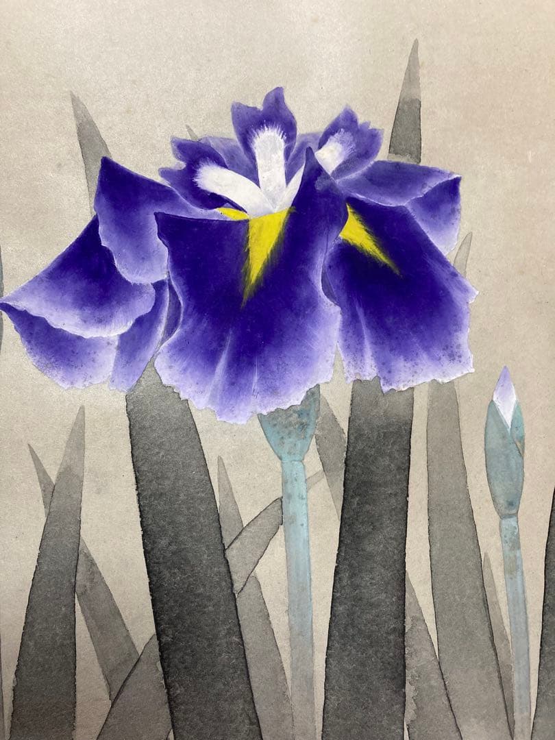 掛け軸 「菖蒲」 鈴木滝央 作 三越美術 ☆ USED