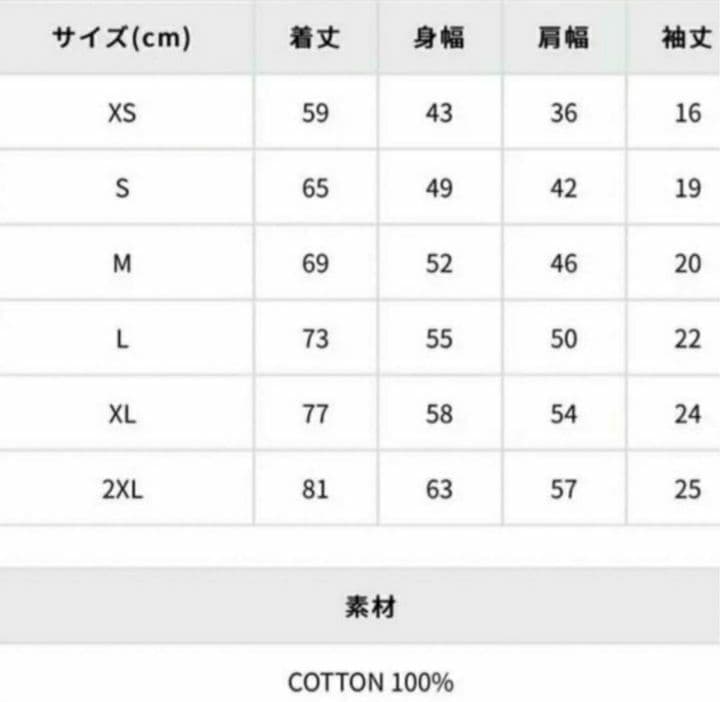 新品未開封！平野紫耀さん着用 DLSM BOX LOGO TEE