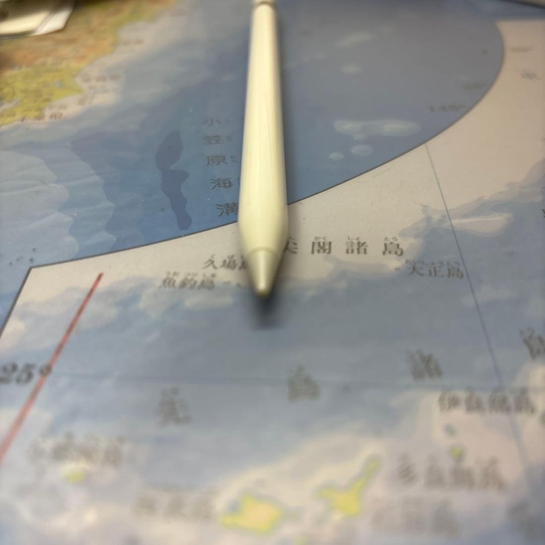 Apple Pencil 第1世代（純正替え芯に交換済み・動作確認済み）