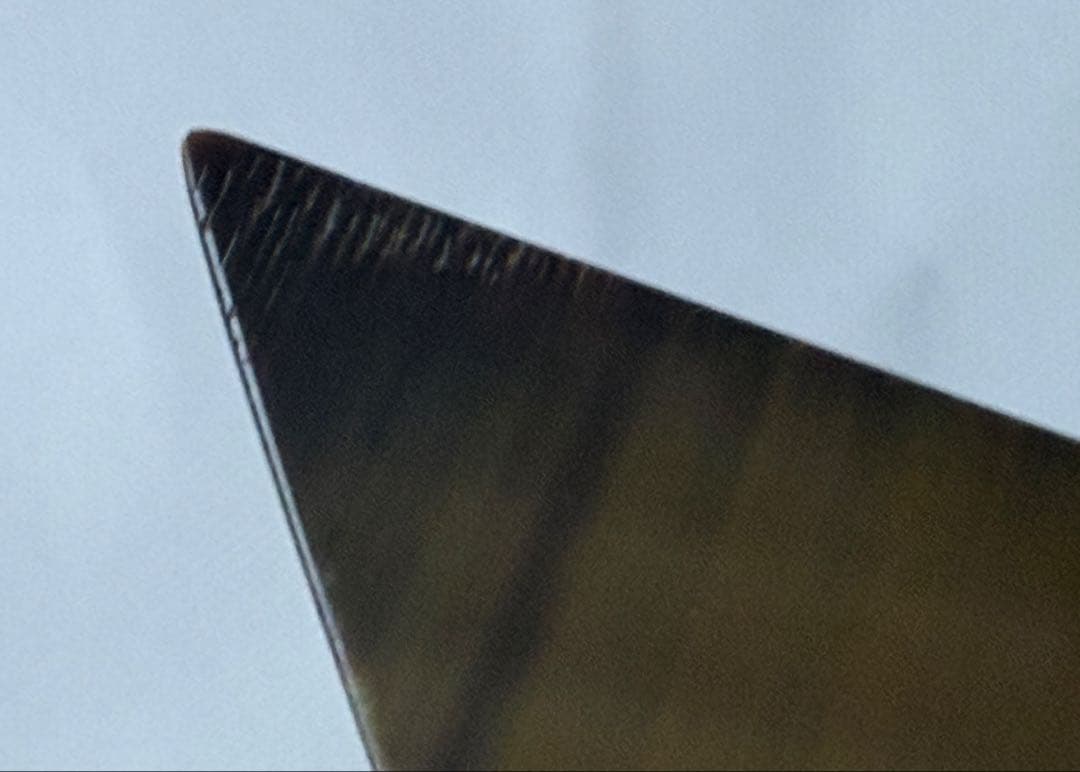 超レア！　鯨髭板製　琵琶用撥　Bタイプ