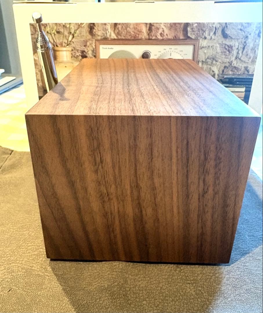 【新同品】Tivoli Audio （チボリオーディオ）Model One BT