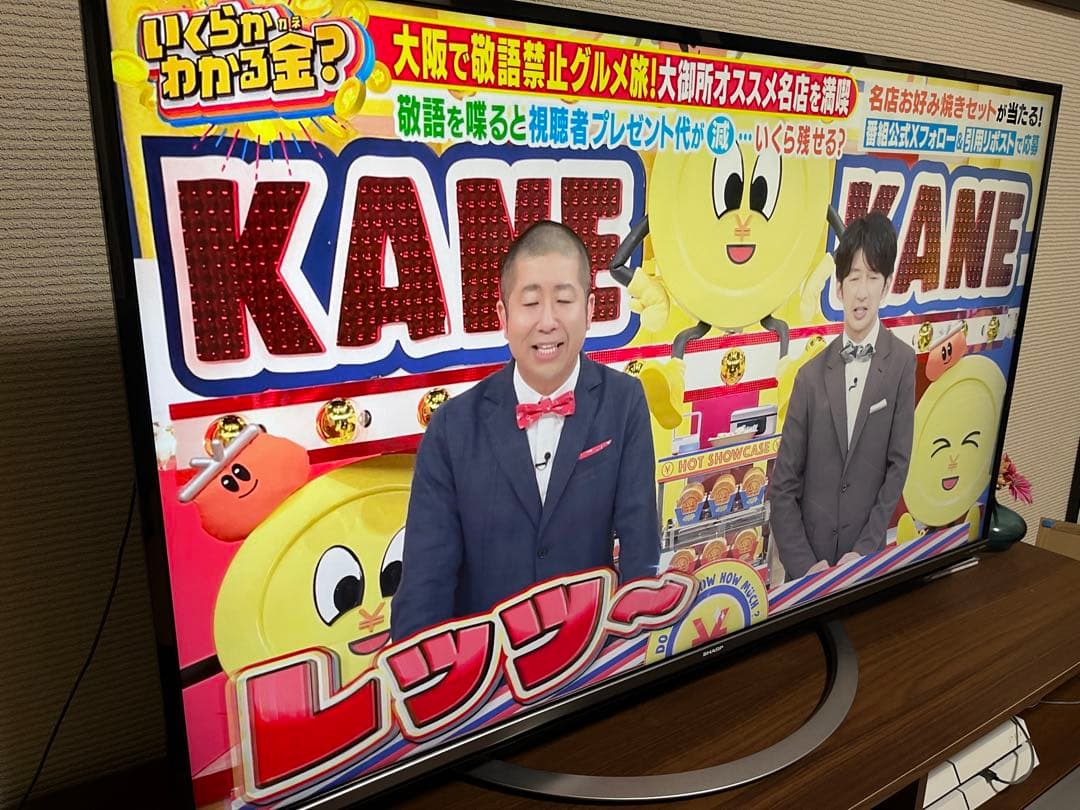 SHARP AQUOS 50インチ 液晶テレビ LC-50US45 50型