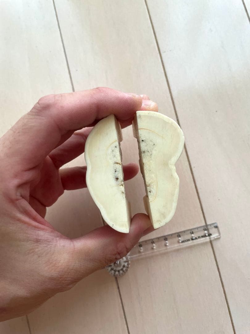 セイウチ牙　カット　抹香　マッコウ　イッカク　　　鯨歯　根付け　131.04g