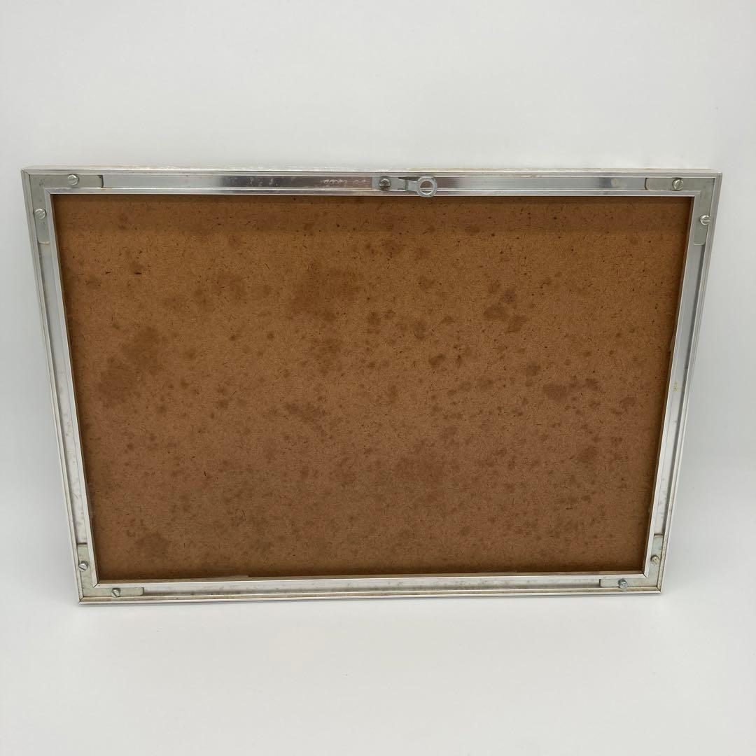 【レア】　モルフォ蝶　アート　標本　芸術　コレクション　海外　美術　絵　昆虫　⑤