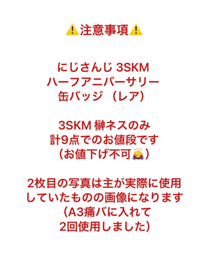 にじさんじ 3SKM ハーフアニバーサリー ランダム缶バッジレア 榊ネス 9点④
