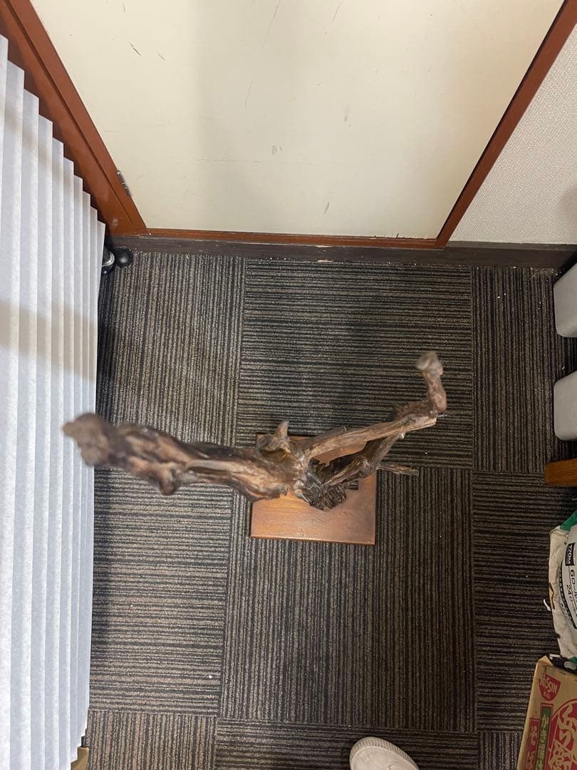 【高さ約101cm】天然木 流木オブジェ 台座付き 一点物 和モダン インテリア