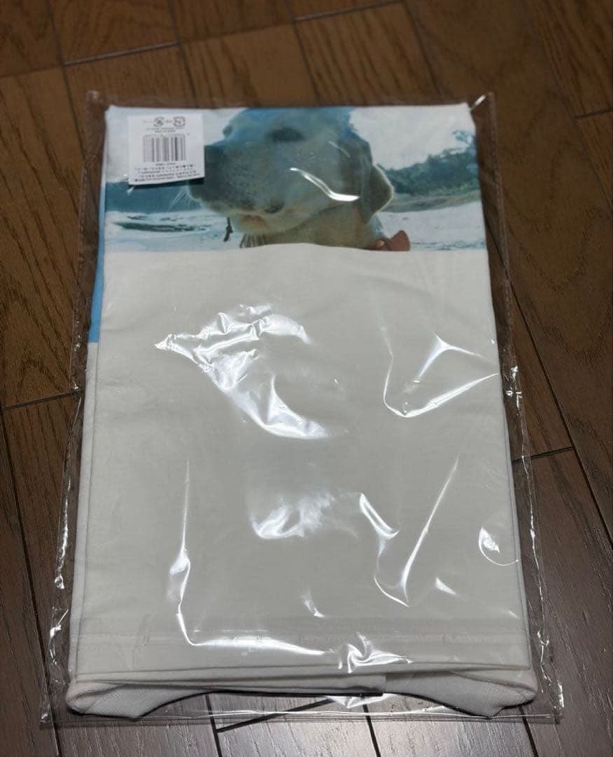 RADWIMPS 特別展 Tシャツ 無人島に持っていき忘れた一枚