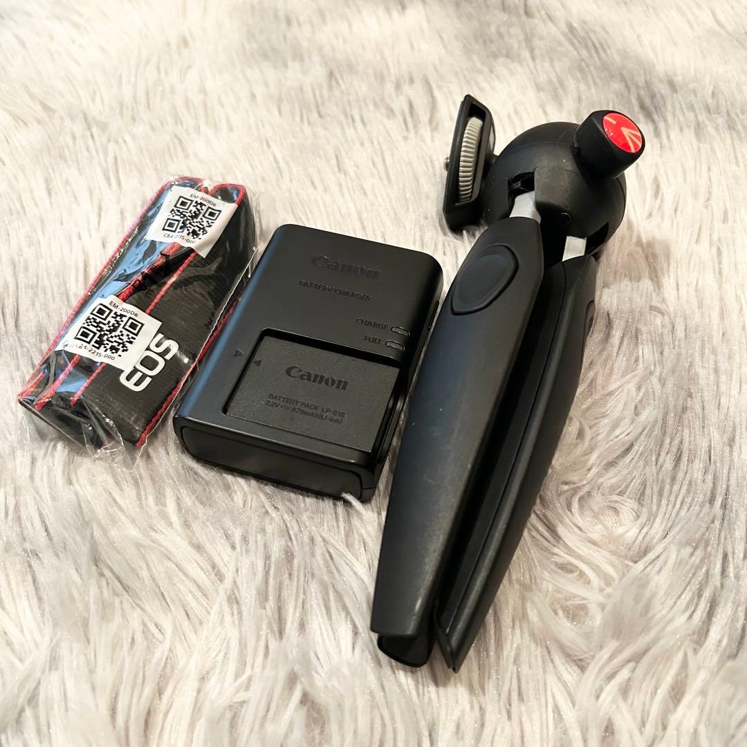 【付属品多数】 Canon EOS M100 リミテッドピンク ミラーレス一眼