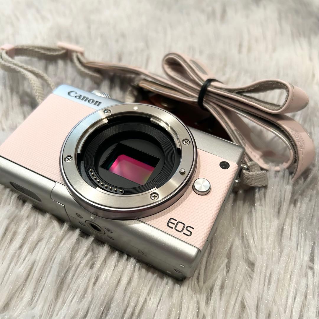 【付属品多数】 Canon EOS M100 リミテッドピンク ミラーレス一眼