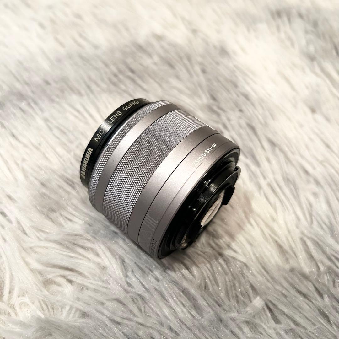 【付属品多数】 Canon EOS M100 リミテッドピンク ミラーレス一眼