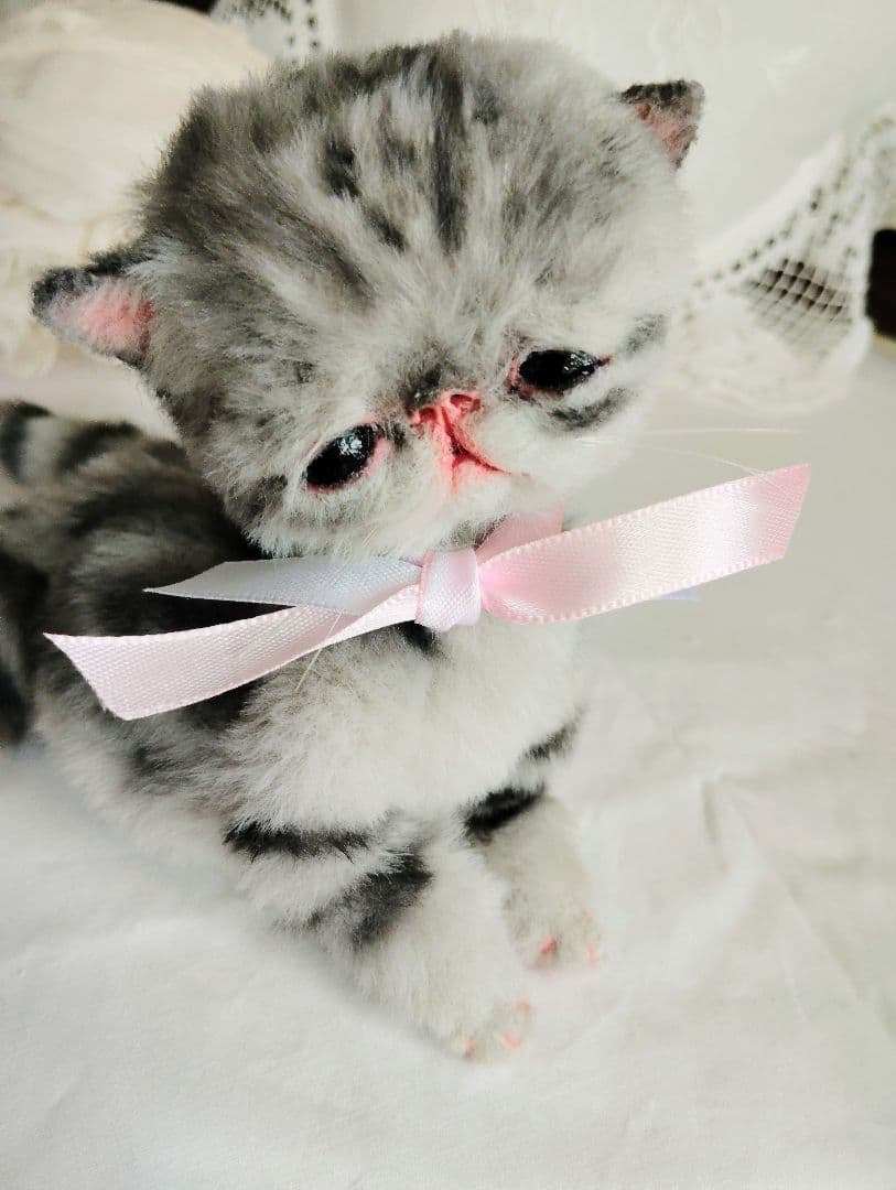 生後２週間♡タビー柄子猫ちゃん♡短足ぽってりボディ♡アートドール♡ぬいぐるみ♡