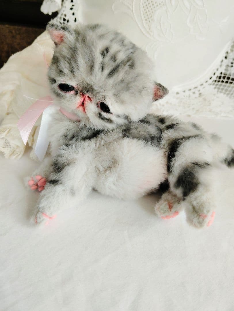 生後２週間♡タビー柄子猫ちゃん♡短足ぽってりボディ♡アートドール♡ぬいぐるみ♡