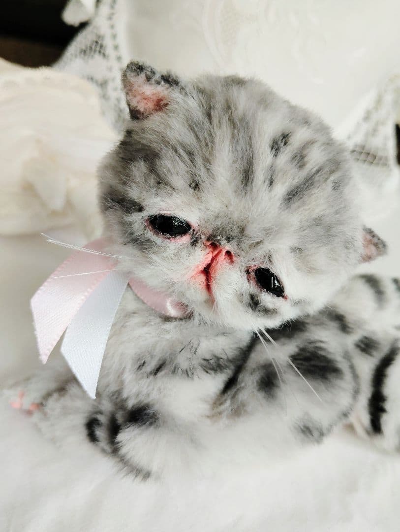 生後２週間♡タビー柄子猫ちゃん♡短足ぽってりボディ♡アートドール♡ぬいぐるみ♡