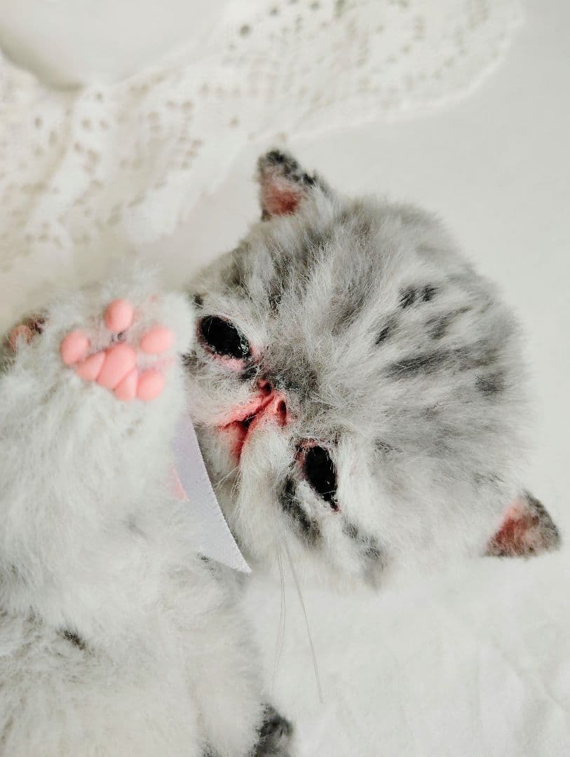 生後２週間♡タビー柄子猫ちゃん♡短足ぽってりボディ♡アートドール♡ぬいぐるみ♡