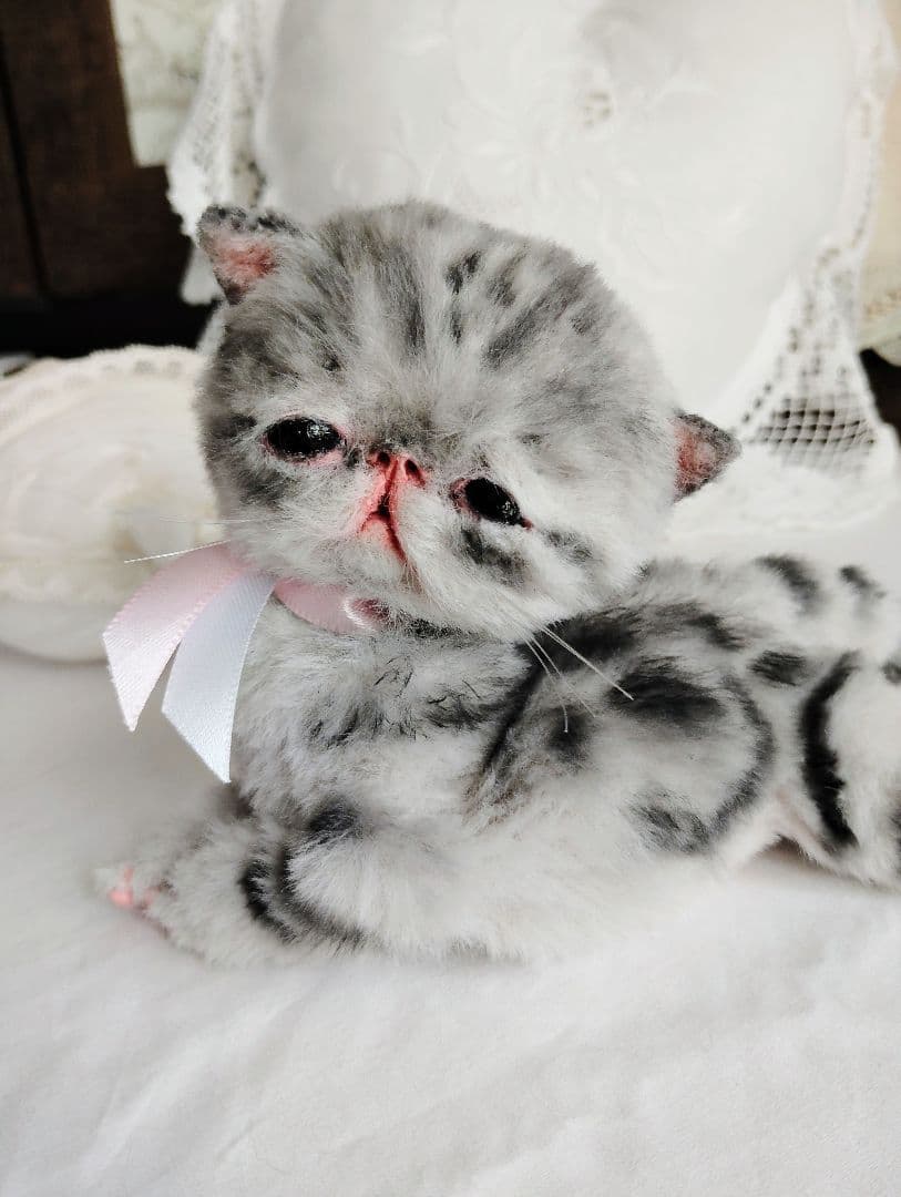 生後２週間♡タビー柄子猫ちゃん♡短足ぽってりボディ♡アートドール♡ぬいぐるみ♡