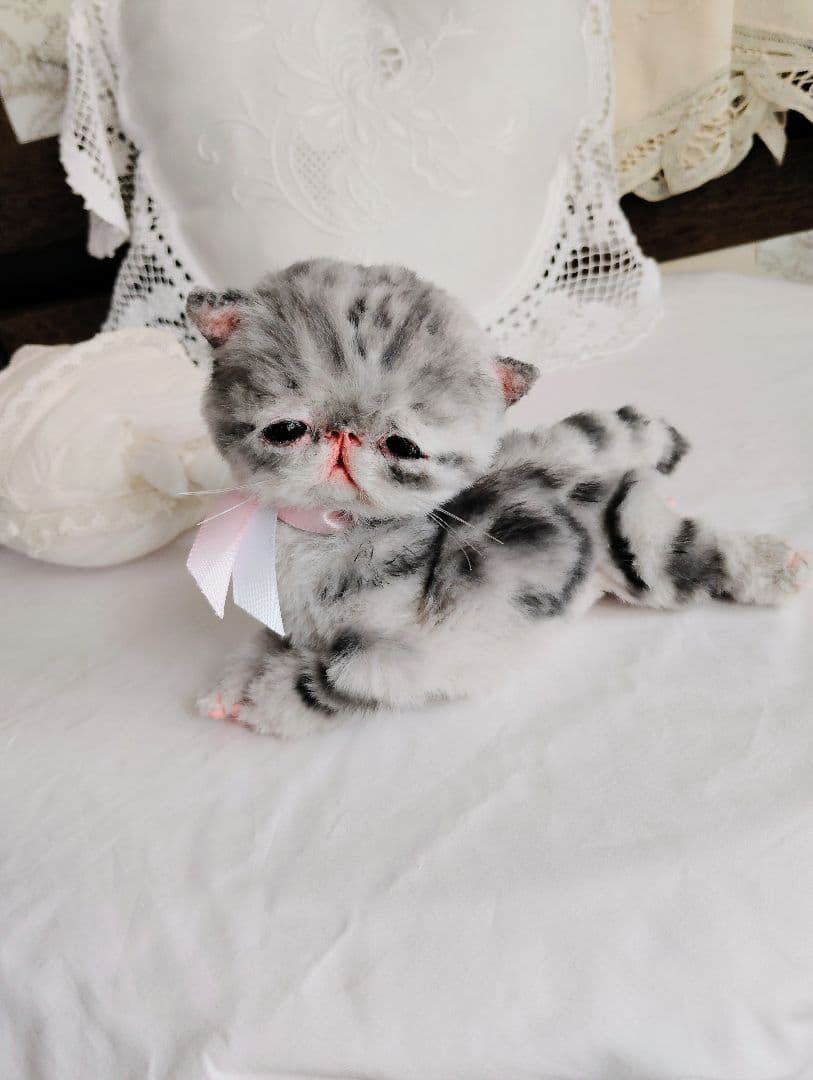 生後２週間♡タビー柄子猫ちゃん♡短足ぽってりボディ♡アートドール♡ぬいぐるみ♡