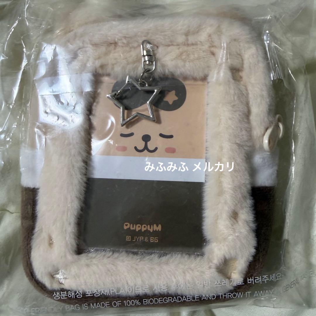 スンミン skzoo STRAYKIDS 韓国 ペンミ コレクトケース