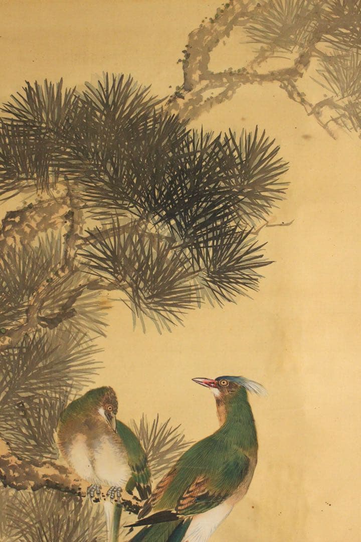 No5396 掛軸　片山秀陵　花鳥図　絹本着色　合箱　日本画　古美術　送料無料