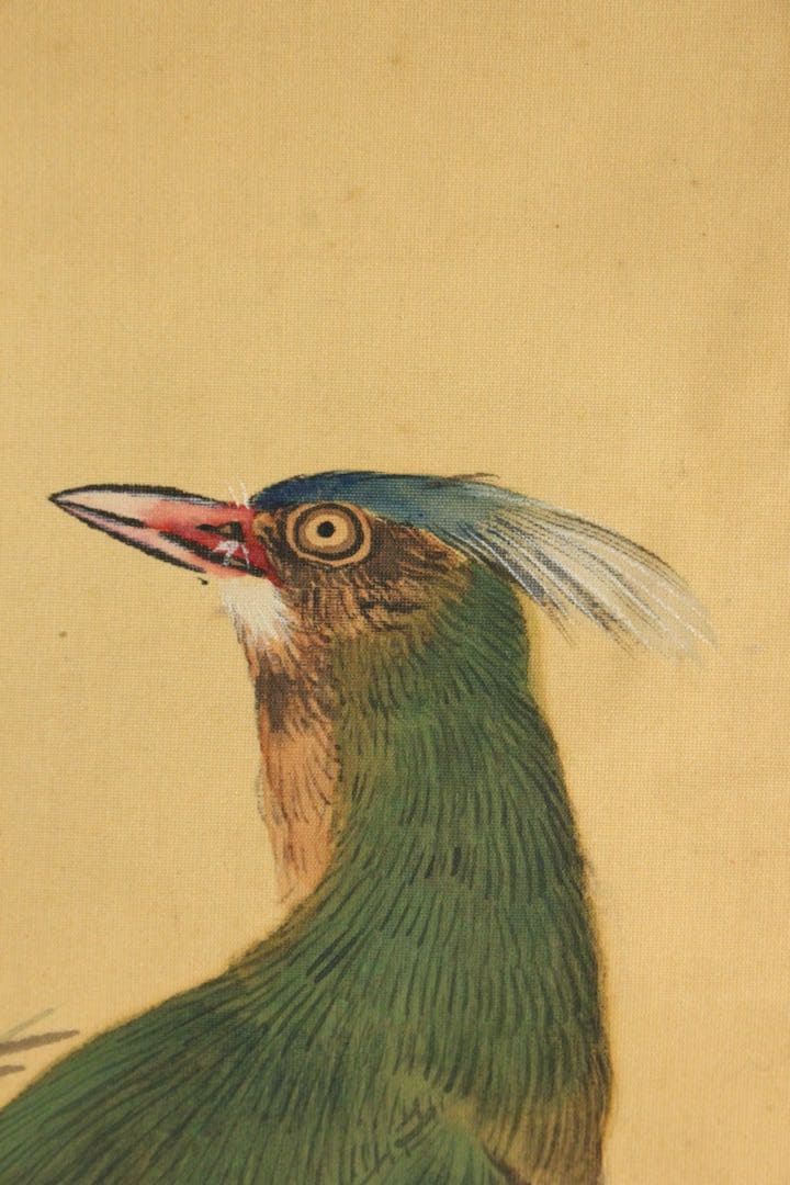 No5396 掛軸　片山秀陵　花鳥図　絹本着色　合箱　日本画　古美術　送料無料