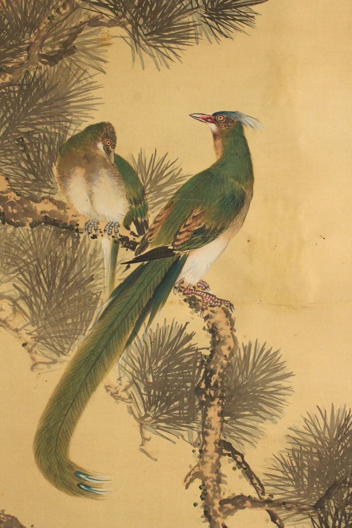 No5396 掛軸　片山秀陵　花鳥図　絹本着色　合箱　日本画　古美術　送料無料