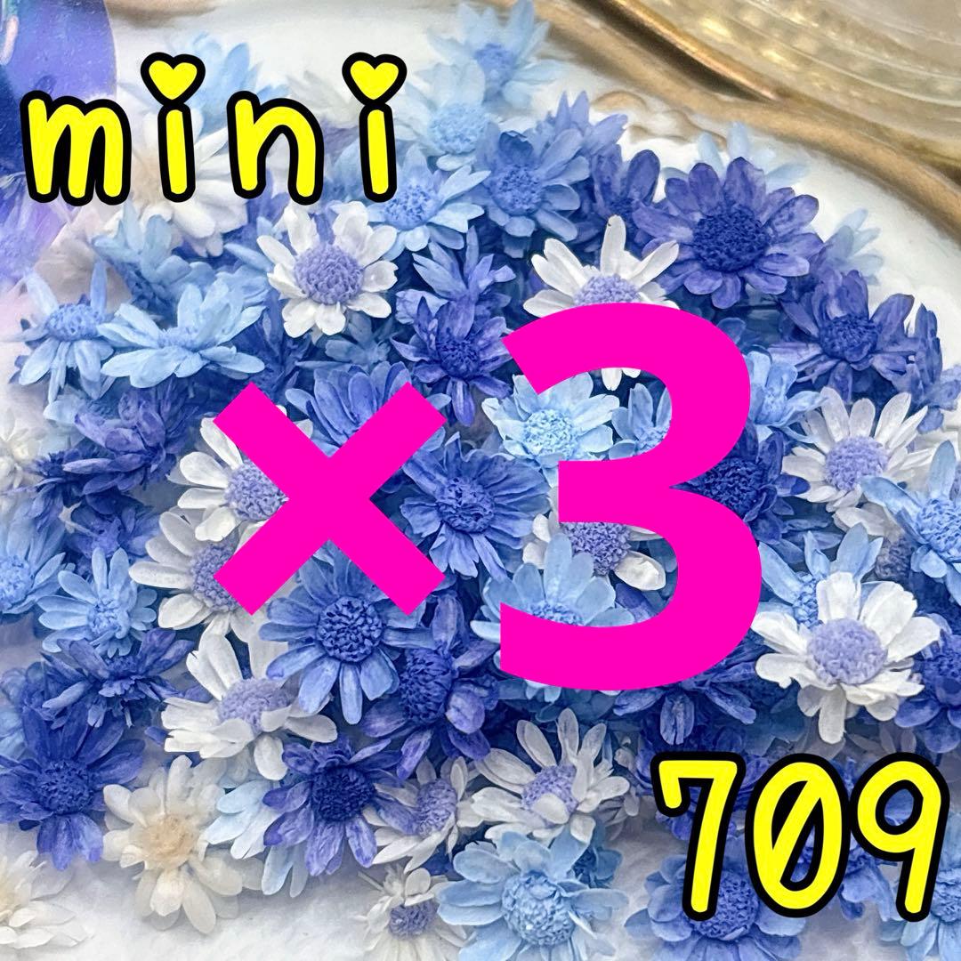 ほののページ✩.*˚